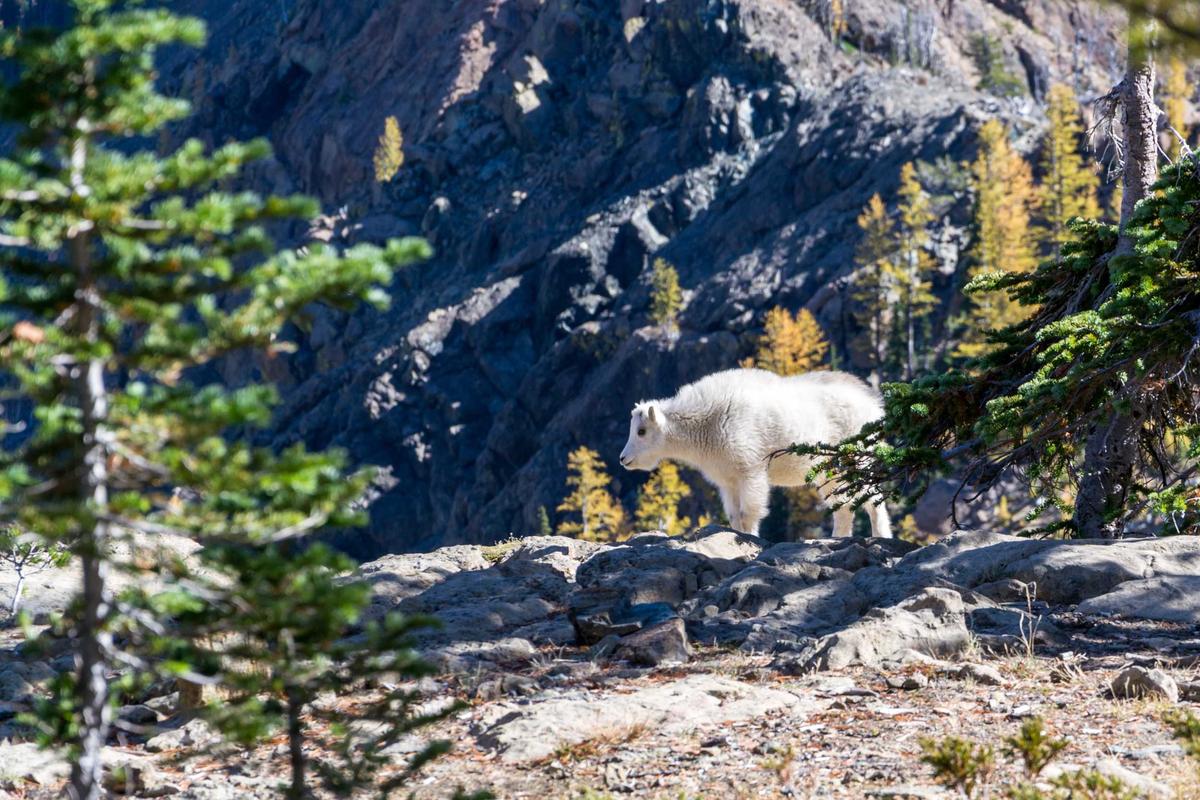 剧本围读会实拍：热播剧男主片场闹不和，平台账号被停更